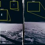 UFO FILES: Scientist believes FOUR types of alien life have been found