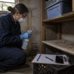 Winnebago Hantavirus Probe Tied to Rodent Exposure, Not Cruise Ship