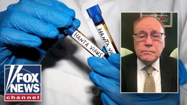 New TWIST in hantavirus outbreak as doctors examine FALSE positives