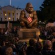White House Calls Harambe a True Patriot and Americans Are Mad