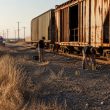 Sheriff Salazar: Seven Dead After Migrant Smuggling Near San Antonio