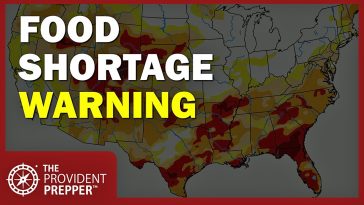 2026 Food Shortage Warning: Are You Ready? Here's Your Action Plan