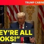 NEW: Trump & Vance Expose MASSIVE Fraud Scams at Cabinet Meeting
