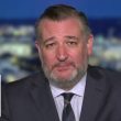 Sen Ted Cruz: Trump hatred has driven Dems to 'CRAZYTOWN'