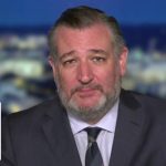 Sen Ted Cruz: Trump hatred has driven Dems to 'CRAZYTOWN'