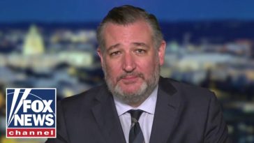 Sen Ted Cruz: Trump hatred has driven Dems to 'CRAZYTOWN'
