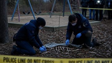 Human Remains Found Near Queens Playground Where Is Commissioner Tisch