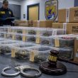 Feds Indict Albert Bazaar Accused of Smuggling 1,800 Turtles to Asia