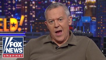 Gutfeld: This is MADNESS