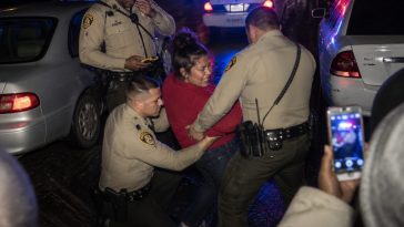 Jennifer Susan Cruz Pleads Guilty After Punching Trooper at ICE Stop