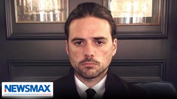 Fmr. “Mumford and Sons” member weighs in on Henry Nowak case, alleged ‘two-tier policing’ in Britain