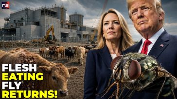 America Thought This Flesh-Eating Parasite Was Gone-Now It’s Back In Texas And Trump Is Racing To St