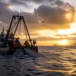 President Trump Reopens Half-Million Miles of Pacific to US Fishing