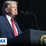 President Trump: The country is 'safe from illegals now'