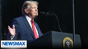 President Trump: The country is 'safe from illegals now'