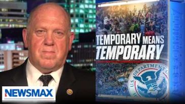 Every illegal alien in this country cheated the system': Border Czar Tom Homan