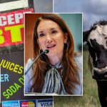 SNAP CRACKDOWN: Trump administration targets alleged food stamp fraud