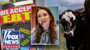 SNAP CRACKDOWN: Trump administration targets alleged food stamp fraud