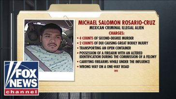 DETAILS: Illegal immigrant accused of DEADLY DUI crash