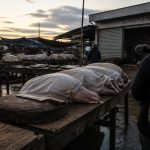Yulin Dog Meat Trade Persists After Slaughterhouse Closure