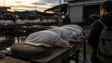 Yulin Dog Meat Trade Persists After Slaughterhouse Closure