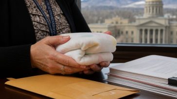 Colorado Justices Read Anonymity Into Safe Haven Law, Bind Counties