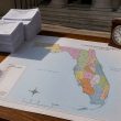 Florida Supreme Court Keeps DeSantis Map, Candidates Must Qualify