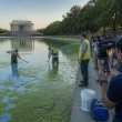 MS NOW Spins Reflecting Pool Algae Into Absurd Liberty Panic