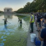 MS NOW Spins Reflecting Pool Algae Into Absurd Liberty Panic