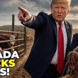 Canada Moves to BLOCK Texas Livestock as Flesh-Eating Parasite Spreads-Will This Send Food Prices SO