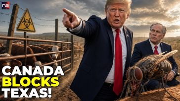 Canada Moves to BLOCK Texas Livestock as Flesh-Eating Parasite Spreads-Will This Send Food Prices SO