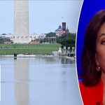 Jeanine Pirro puts Reflecting Pool vandals ON NOTICE