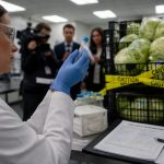 FDA Admits False Positive in Cyclospora Probe, Taylor Farms Says Sorry