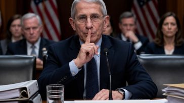 Fauci Pleads Fifth to Hawley’s 3 Questions as Contempt Vote Nears