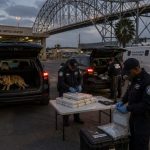 CBP Busts $1.1M Cocaine Haul at Two South Texas Border Bridges