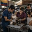 Volunteers Treat 350+ Pets in Venezuela as State Services Collapse