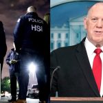 Tom Homan says federal government should buckle down on ‘birth tourism’