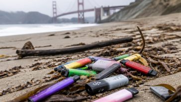 California Sends Disposable Vape Ban to Gov. Gavin Newsom