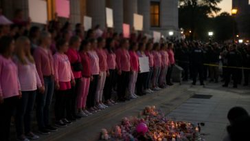 Pink Rallies for Lindsay Clancy Are Tone-Deaf to Victims