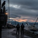 Raven Knocks Out Town Power, Whale Sinks Boat — Officials Shrug