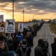 PETA Backed 207‑Mile March to Marshall More Theater Than Policy