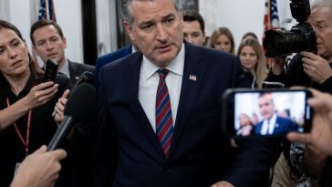Rep. Seth Moulton Boasts He Was One of Few Whites to Reject Kirk Honor