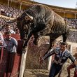 Half-Ton Bull Clears Barrier Twice at Murcia Fair, Nearly Gores Fans