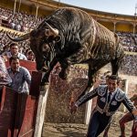 Half-Ton Bull Clears Barrier Twice at Murcia Fair, Nearly Gores Fans