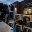 FOIA: Oak Hill Shipped 1,518 Hound Dogs to NIH-Funded Labs