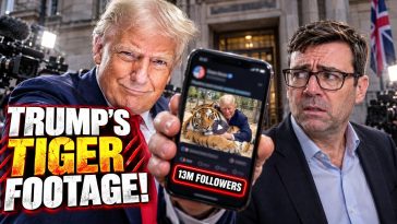 Trump Just Put One Caption On That Tiger Footage