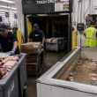 Hackers Spoil Food in France as Ahold Delhaize Faces Outage