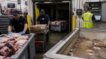 Hackers Spoil Food in France as Ahold Delhaize Faces Outage