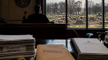 Judge Reyes Freezes East Potomac Tree Work, Orders Top Officials to Testify