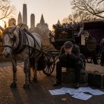 Mamdani Backs Carriage Ban, 200 Drivers Left With No Plan